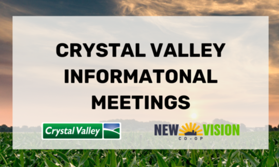 Ee Meeting Timeline 2